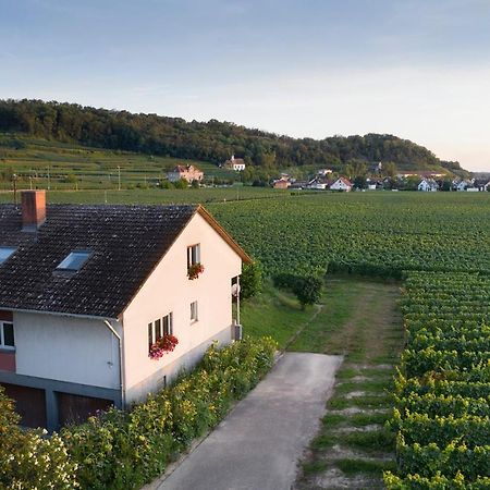 Ferienwohnung Mit 65Qm Niederrotweil Экстерьер фото