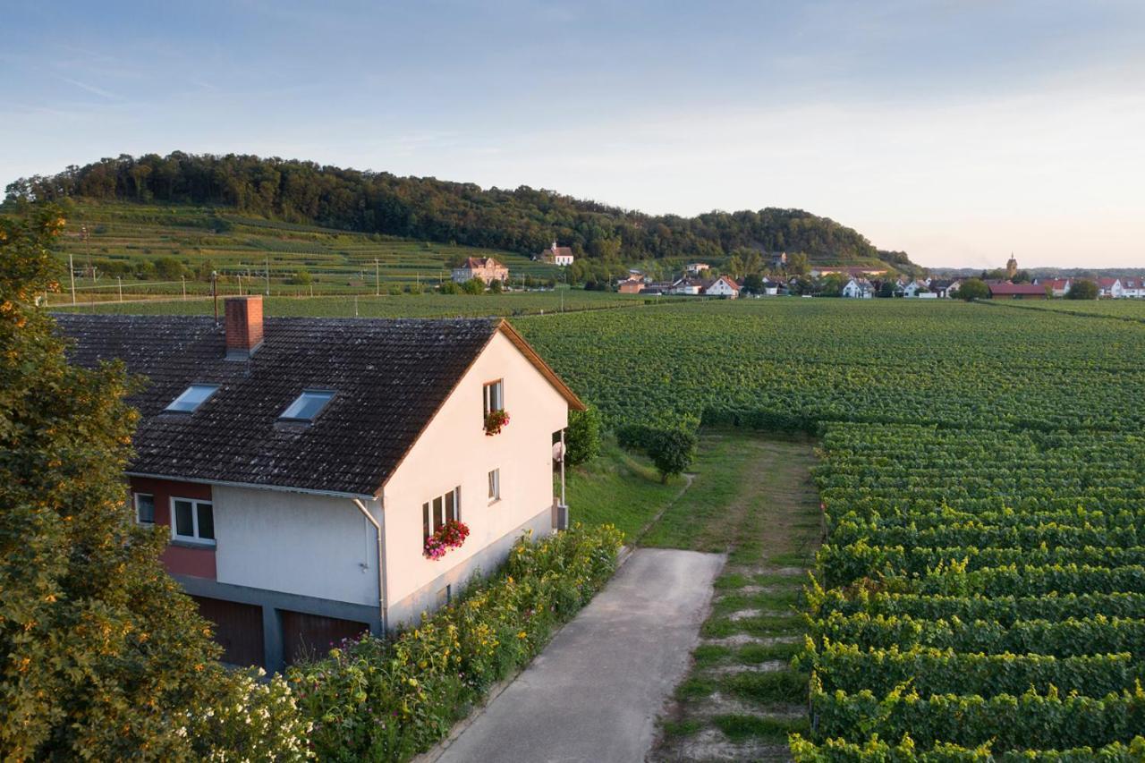 Ferienwohnung Mit 65Qm Niederrotweil Экстерьер фото